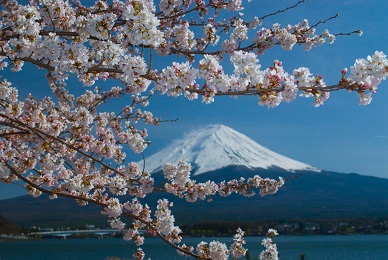 Mt.Fuji